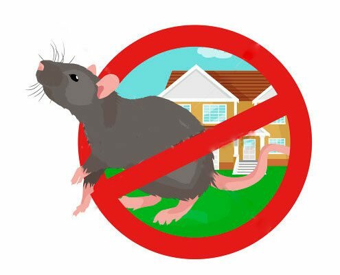 Против крыс и мышей